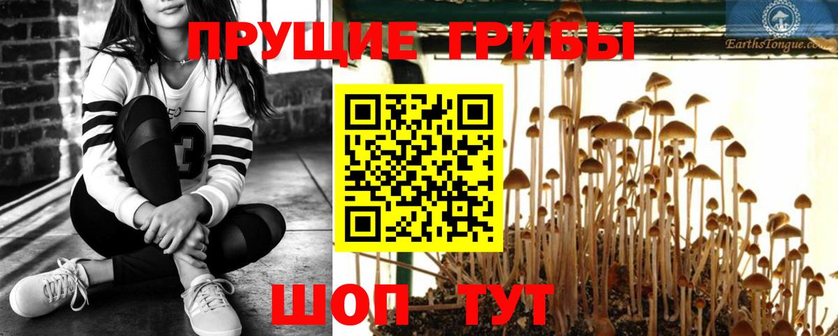 Галлюциногенные грибы ЛСД Полевской