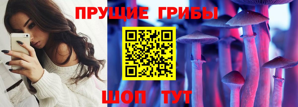 где купить наркоту  Галлюциногенные грибы Cubensis  Вход с VPN  Полевской 
